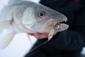 Panoramic's Favourite Four Ice Fishing Lures